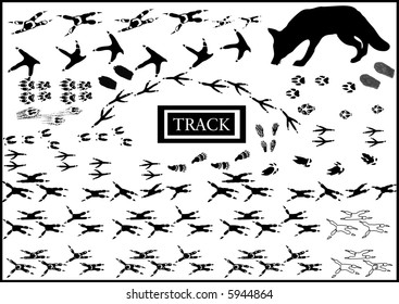 lots of animals scent  vectors