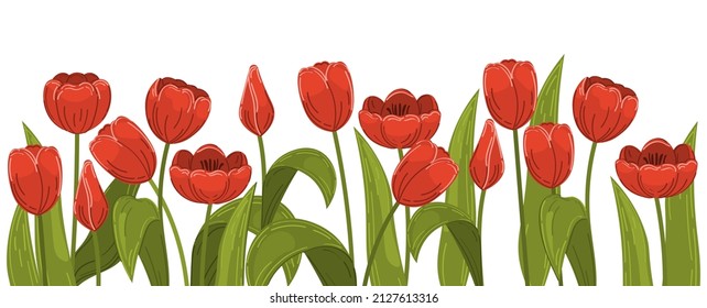 Lots of beautiful colorful tulips with leaves isolated on white background.
Vector illustration, background, pattern, print for packaging paper, postcards, textiles. Colorful red tulips with leaves.