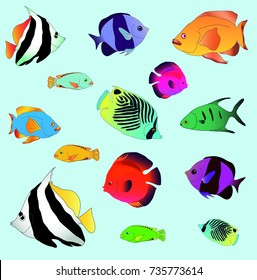 Lots of bright tropical fish