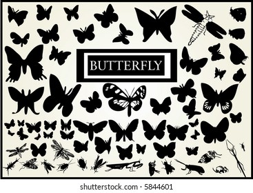lots of butterfly vectors