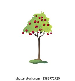 Lots of cherries on the tree. Vector illustration on white background.