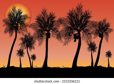 lots of coconut trees as a silhouette with sunset background