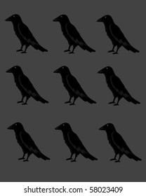 lots of crows