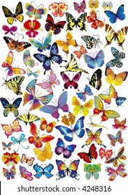 Lots of different multicolored butterflies - vector illustration