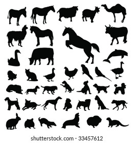 Lots of Domestic animals Silhouettes