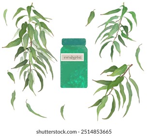 Lots of eucalyptus leaves and essential oil