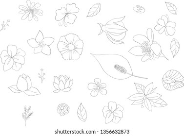 lots of flower