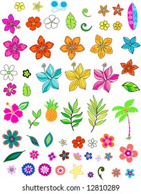 Mucha ilustración de vectores de verano de flores