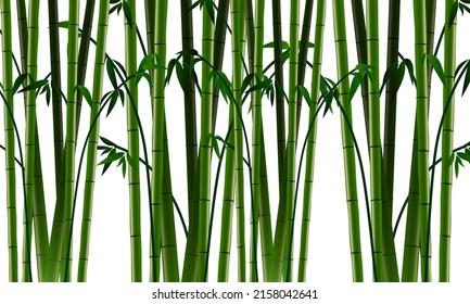 Lots of green bamboo forest wallpaper graphic resources isolated transparent background png