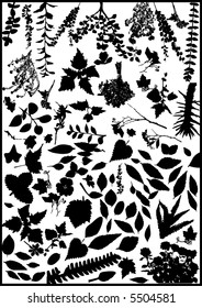 lots of leaf vector - design elements