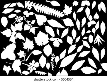 lots of leaf vector - design elements