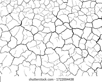 lots lines of crack ground for abstract background on white background