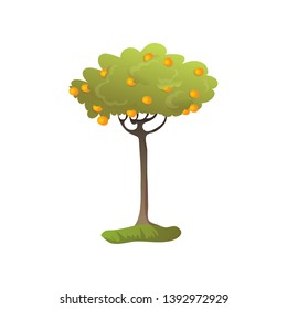 Lots of orange oranges on the tree. Vector illustration on white background.