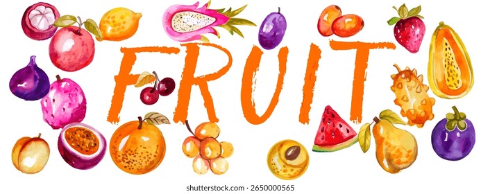 lots of ripe bright fruits painted in watercolor technique and the word fruit on a white background.Isolated, close-up