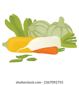 Lots of vegetables. Harvesting vector illustration. Daikon, squash, peas, turnips, lettuce leaves. Isolated on a white background.