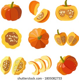 Lots of yellow pumpkins of different sizes and shapes on a white background, top view. Vector realistic drawing.