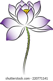 lotus