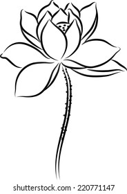 lotus