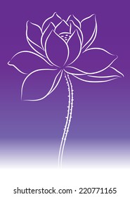 lotus