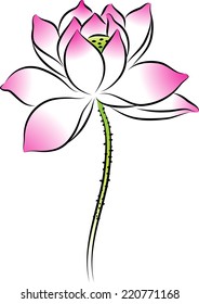 lotus