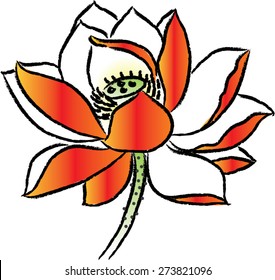  lotus