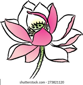  lotus