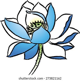  lotus