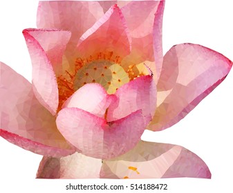 lotus