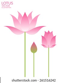 Lotus. Abstract flowers on white background. Water lily