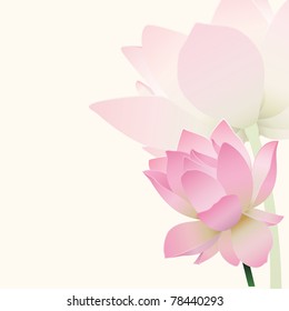 Lotus background