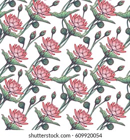 Lotus background. Floral pattern with water lilies isolated on white background. EPS10 vector illustration.