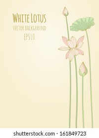 Lotus Background. Vector illustration, eps10.