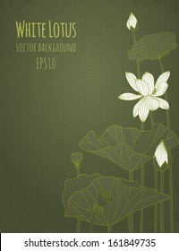 Lotus Background. Vector illustration, eps10.