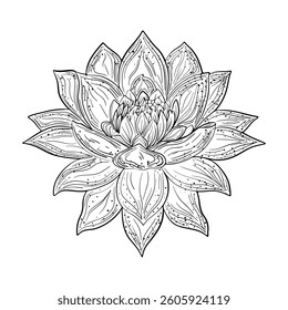 Lotus black outlines. Natural flower signs of meditation, yoga and relaxation. Balance of harmony and calm