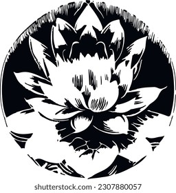 Lotus Black and White Lotos