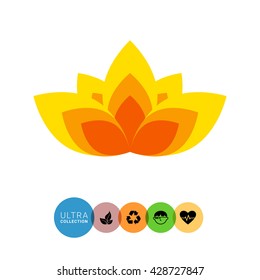Lotus blossom