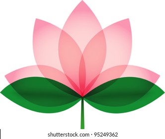 Lotus blossom.