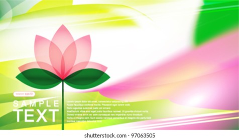 Lotus blossom background or card.