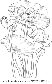 Lotus blossom flowers and branch vector illustration. hand Drawing vector illustation for the coloring book or page Black and white engraved ink art, for kids or adults.
