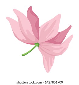 lotus blossom flowers nelumbo nucifera gaertn icon cartoon vector illustration graphic design