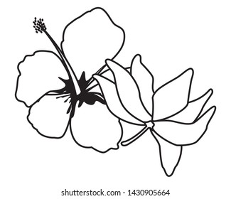 lotus blossom flowers nelumbo nucifera gaertn icon cartoon in black and white vector illustration graphic design