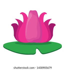 lotus blossom flowers nelumbo nucifera gaertn icon cartoon vector illustration graphic design