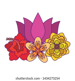 lotus blossom flowers nelumbo nucifera gaertn cartoon vector illustration graphic design