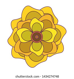 lotus blossom flowers nelumbo nucifera gaertn icon cartoon vector illustration graphic design