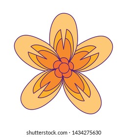 lotus blossom flowers nelumbo nucifera gaertn icon cartoon vector illustration graphic design