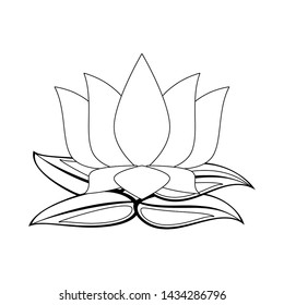 lotus blossom flowers nelumbo nucifera gaertn icon cartoon vector illustration graphic design