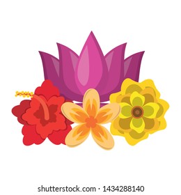 lotus blossom flowers nelumbo nucifera gaertn icon cartoon vector illustration graphic design