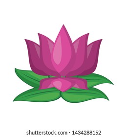 lotus blossom flowers nelumbo nucifera gaertn icon cartoon vector illustration graphic design