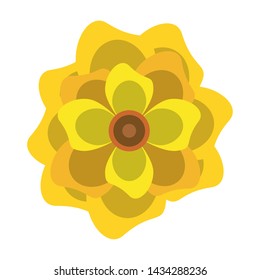 lotus blossom flowers nelumbo nucifera gaertn icon cartoon vector illustration graphic design