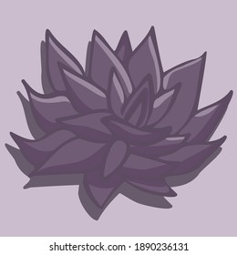 Lotus. Bright flower. Flower petals. An aquatic plant. Small lotus. Illustration. Vector image of a flower. Lotus illustration. Beautiful bright flower. Contour of the lotus. Plants. Collection.